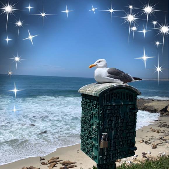 Meet your Posher, Michelle - Picture 1 of 1